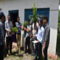 कृषकहरूलाइ फलफुल बिरूवा बितरण