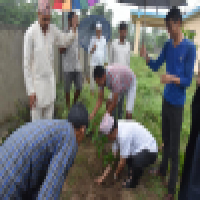 नगरपालिका कार्यालय परिसरमा वृक्षाराेपण